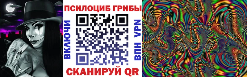 где найти   Волчанск  Галлюциногенные грибы MAGIC MUSHROOMS 